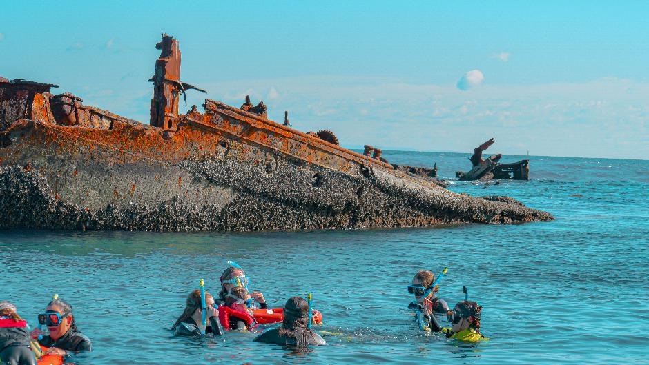 Snorkel Tangalooma Wrecks